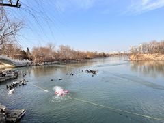 -天津水上公园