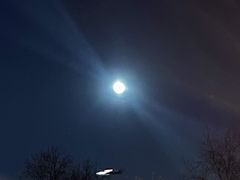 -北京国家会计学院