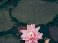 -沈阳植物园