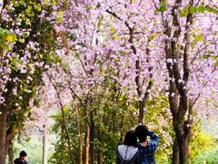 -广东外语外贸大学(白云山校区)