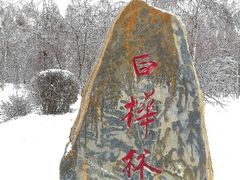 -长春市南湖公园