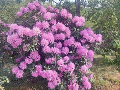 -名花谷生态庄园