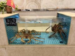 景观位-一家春酒楼(惠工街店)