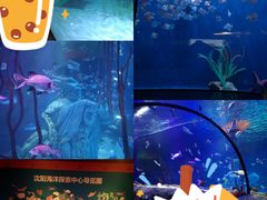 -沈阳海洋探索中心