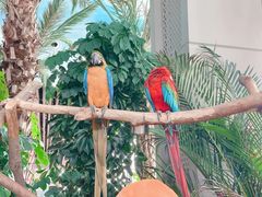 -杭州开元森泊度假乐园