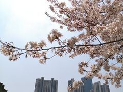 -龙美术馆(西岸馆)