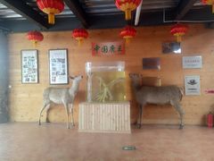 -北京鹿世界主题园