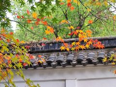 -秋霞圃