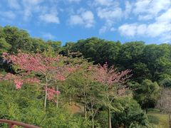 -云溪植物园