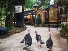 -五邑人家(江门店)