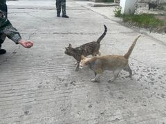 -白渔泡湿地公园