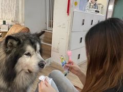 -李小姐の猫咖啡馆(五角场店)