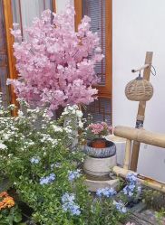 -Nora阿育吠陀·瑜伽·整体疗愈苑