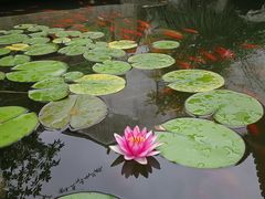 -苏州文旅花间堂·探花府酒店