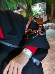 -酷嗒动物文化乐园(cutezoo西溪乐天城店)