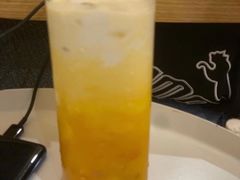 杨枝甘露-滚猫咖啡·猫咖·猫友好撸猫(未来城店)