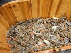 -初色海鲜自助(万丰路店)