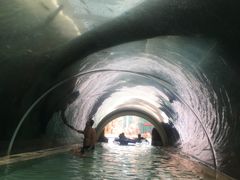 -新加坡水上探险乐园