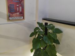 -健合堂中医养生·经络调理(天通苑旗舰店)