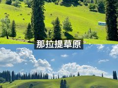 -赛里木湖风景名胜区