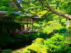 -三千院