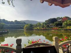 -大屏嶂森林公园