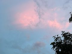 -东天目山风景区