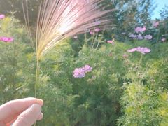 -长春公园(普阳街道)