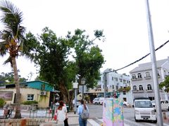 -安德鲁饼店(总店)
