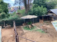 -昆明动物园