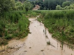 -渭南桃花源民俗文化园