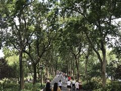 -苏堤停车场