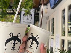 -TrueLove @ Neverland (Husky Cafe)