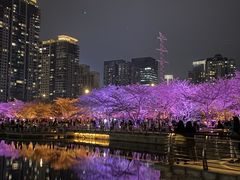 -西北湖绿化广场