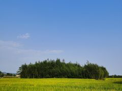-良渚古城遗址公园