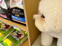 -瑞派康怡24h宠物医院·犬猫医疗中心·微创绝育(瑞景分院)