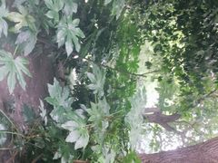 -上海市龙华烈士陵园