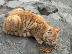 -晓港公园