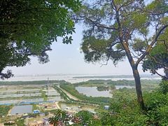 -广州莲花山旅游区