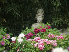 -国家植物园