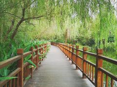 -溱湖国家湿地公园