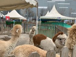 -萌宠亲子动物乐园(槐房万达店)