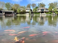 -春晖园度假酒店温泉