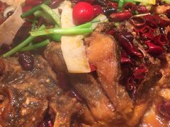-老板恋上鱼(高新万达店)