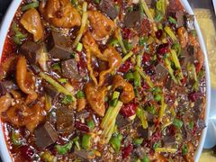 -后卫寨猫耳朵(后卫寨店)