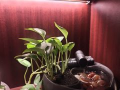 -聆耳·采耳·按摩·SPA(会展中心店)