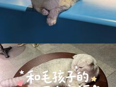 -丰盛里