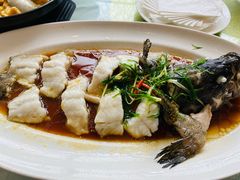 蒸石斑-神仙馆(衡山路店)