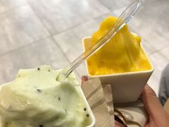 奇异果雪葩-野人先生现做冰淇淋(西安赛格店)
