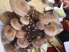 -先机泉水鸡汤(南山老君洞店)